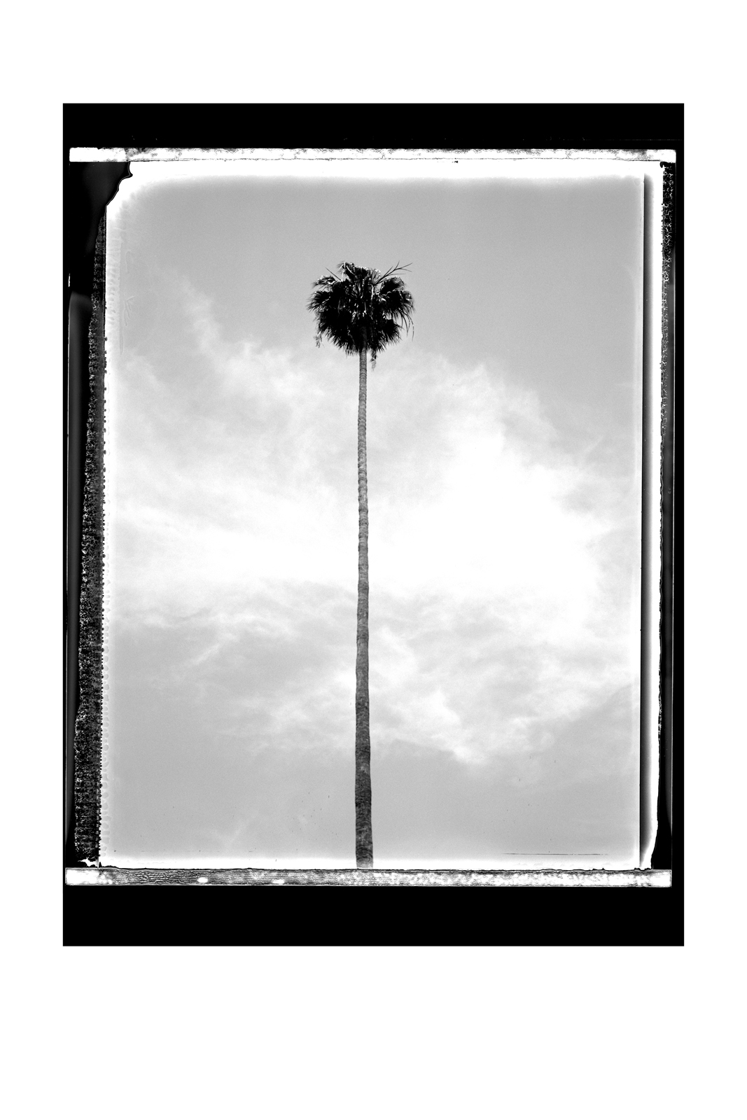 HW_04_321287-002