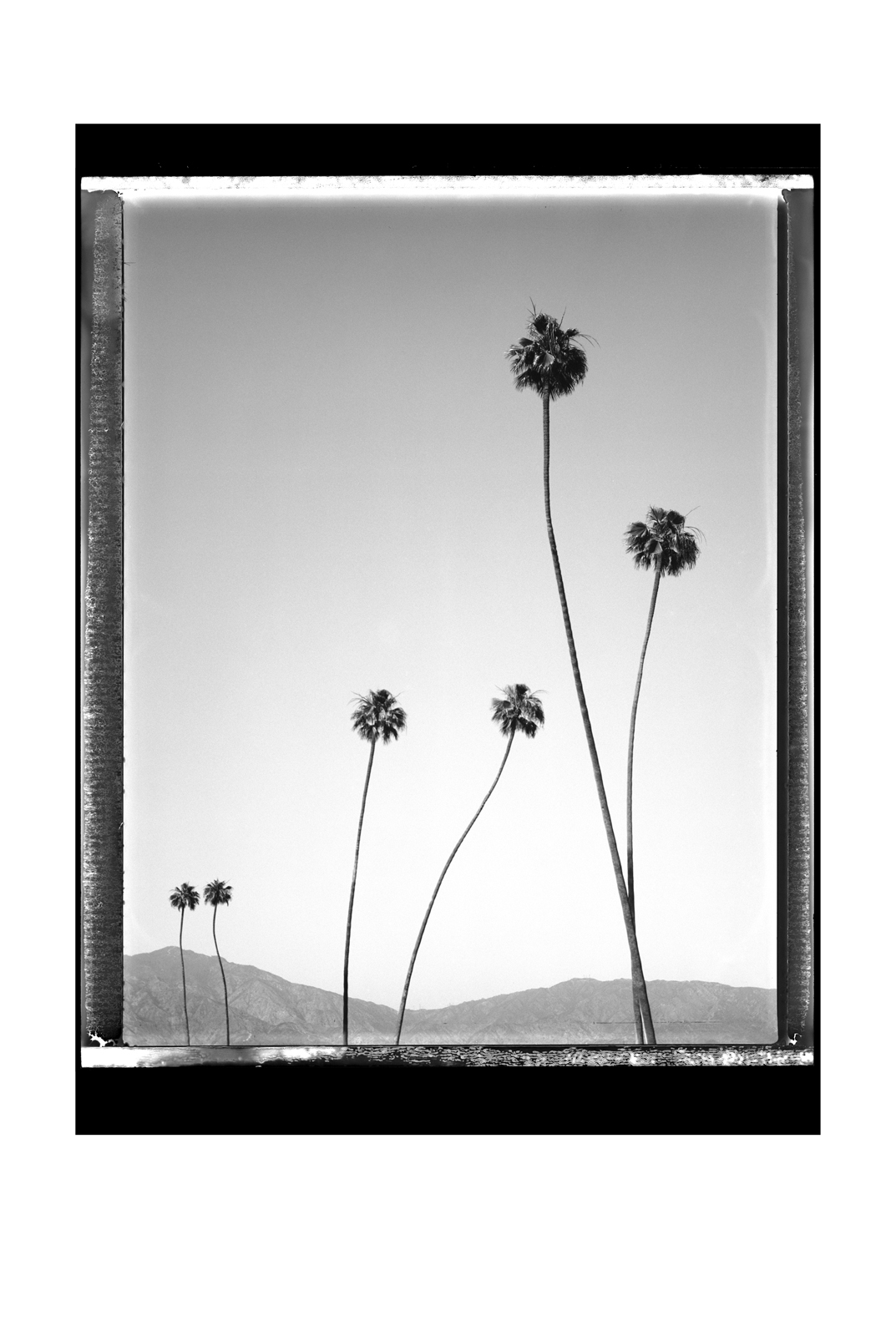 SA_04_320580-004