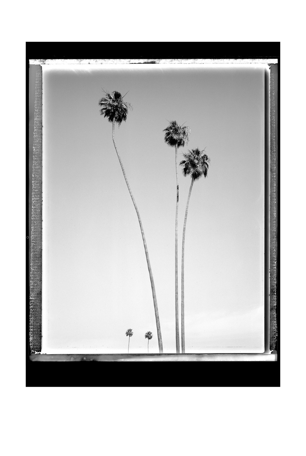 SA_09_322705-002